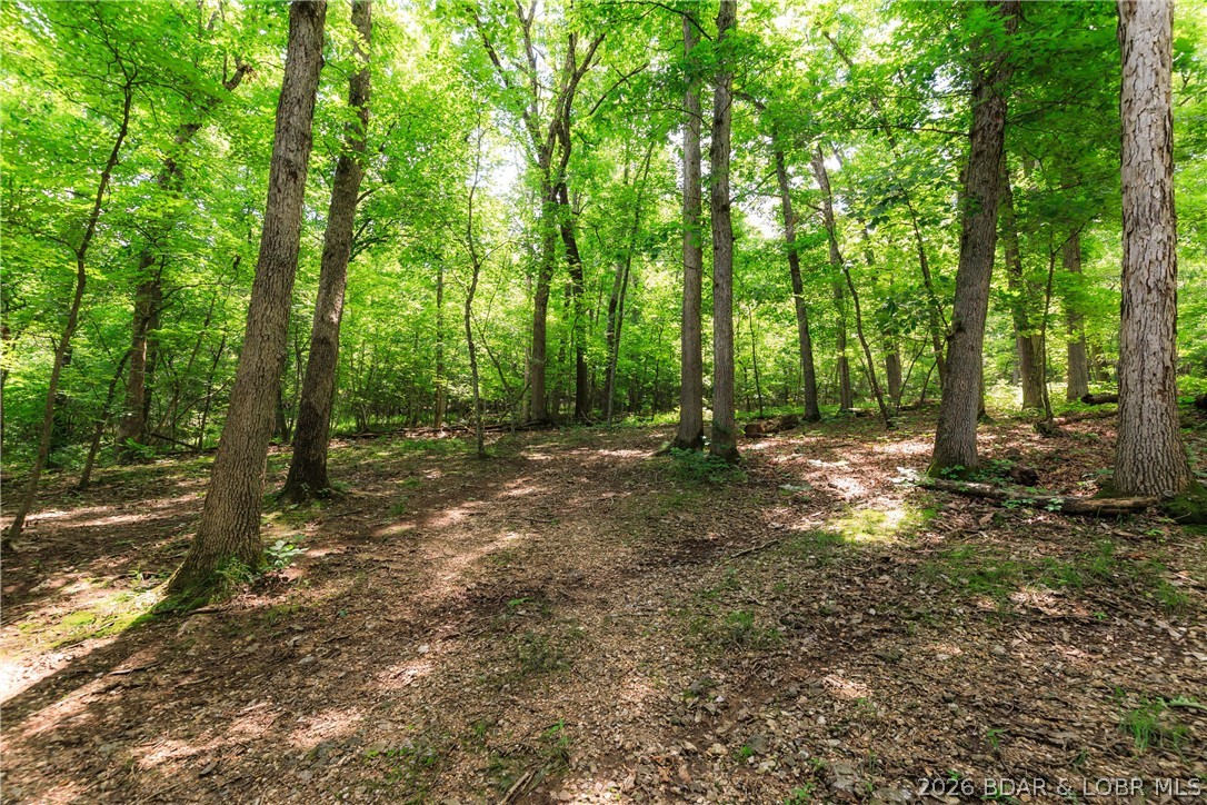 400 Hidden Acres Road Camdenton, MO 65020 - Photo 24 of 39
