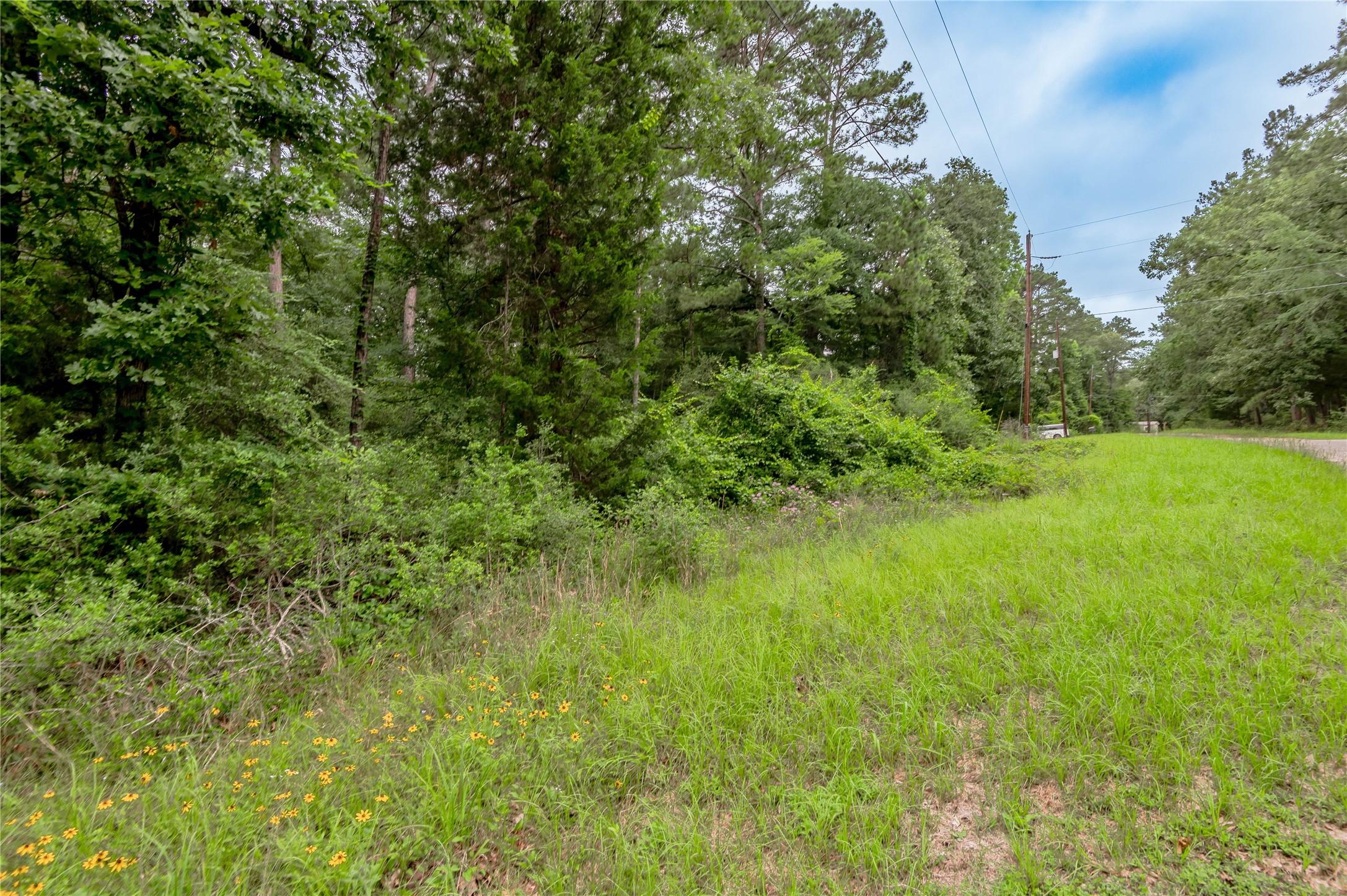 Lot 55 Post Oak Circle Trinity, TX 75862 - Photo 9 of 31