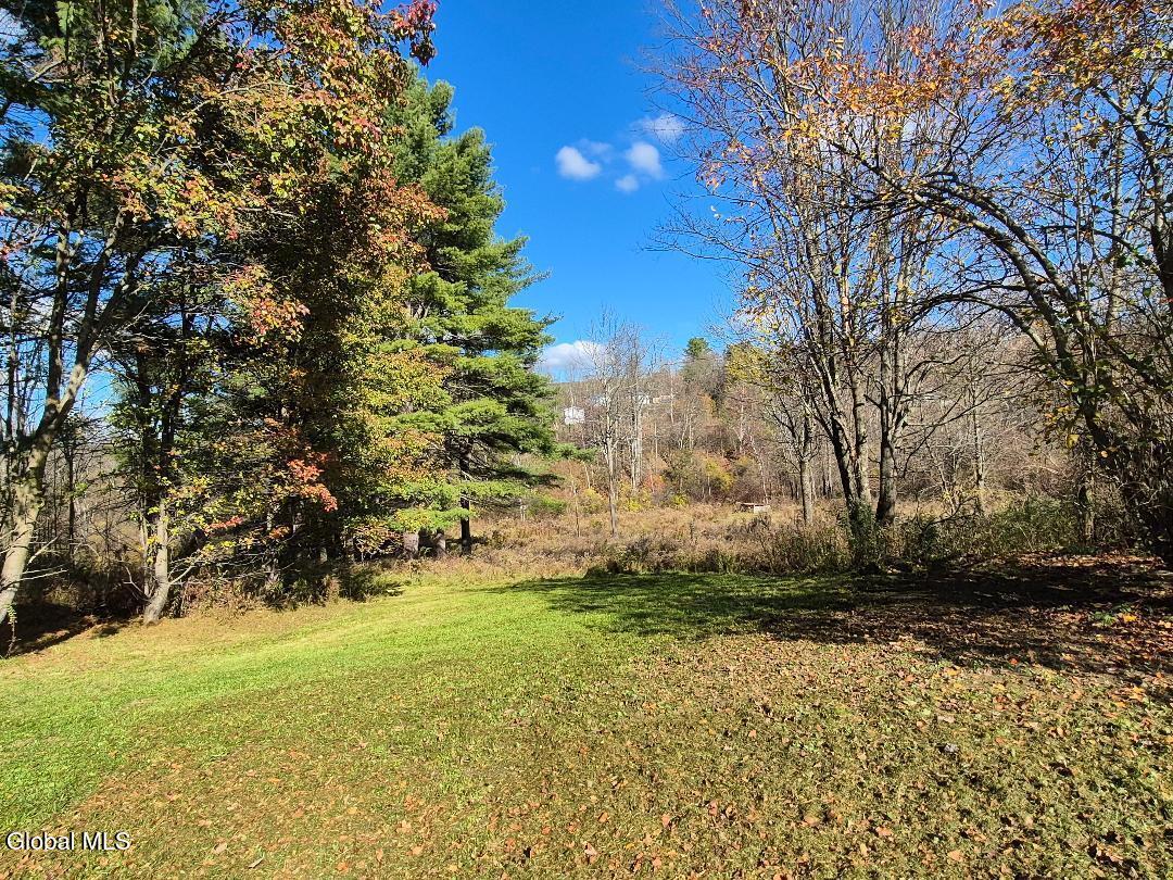36 Brookside Acres Road Granville, NY 12832 - Photo 11 of 31 autumn to stream