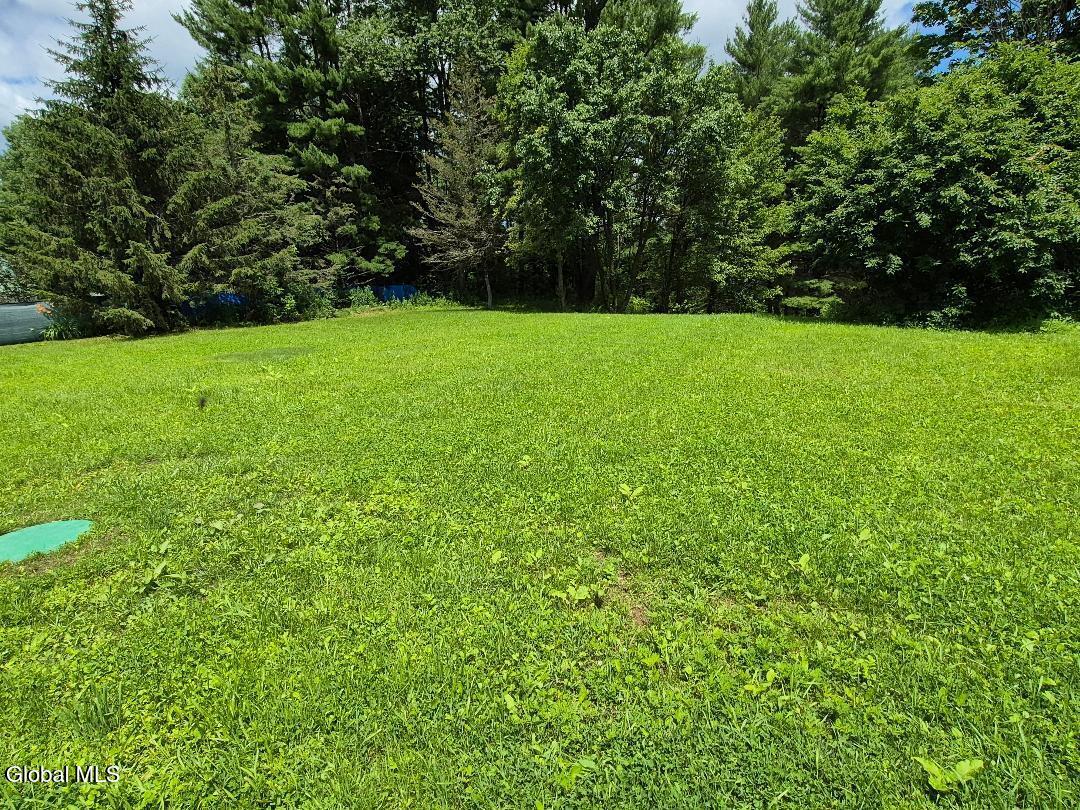 36 Brookside Acres Road Granville, NY 12832 - Photo 7 of 31 back yard bs