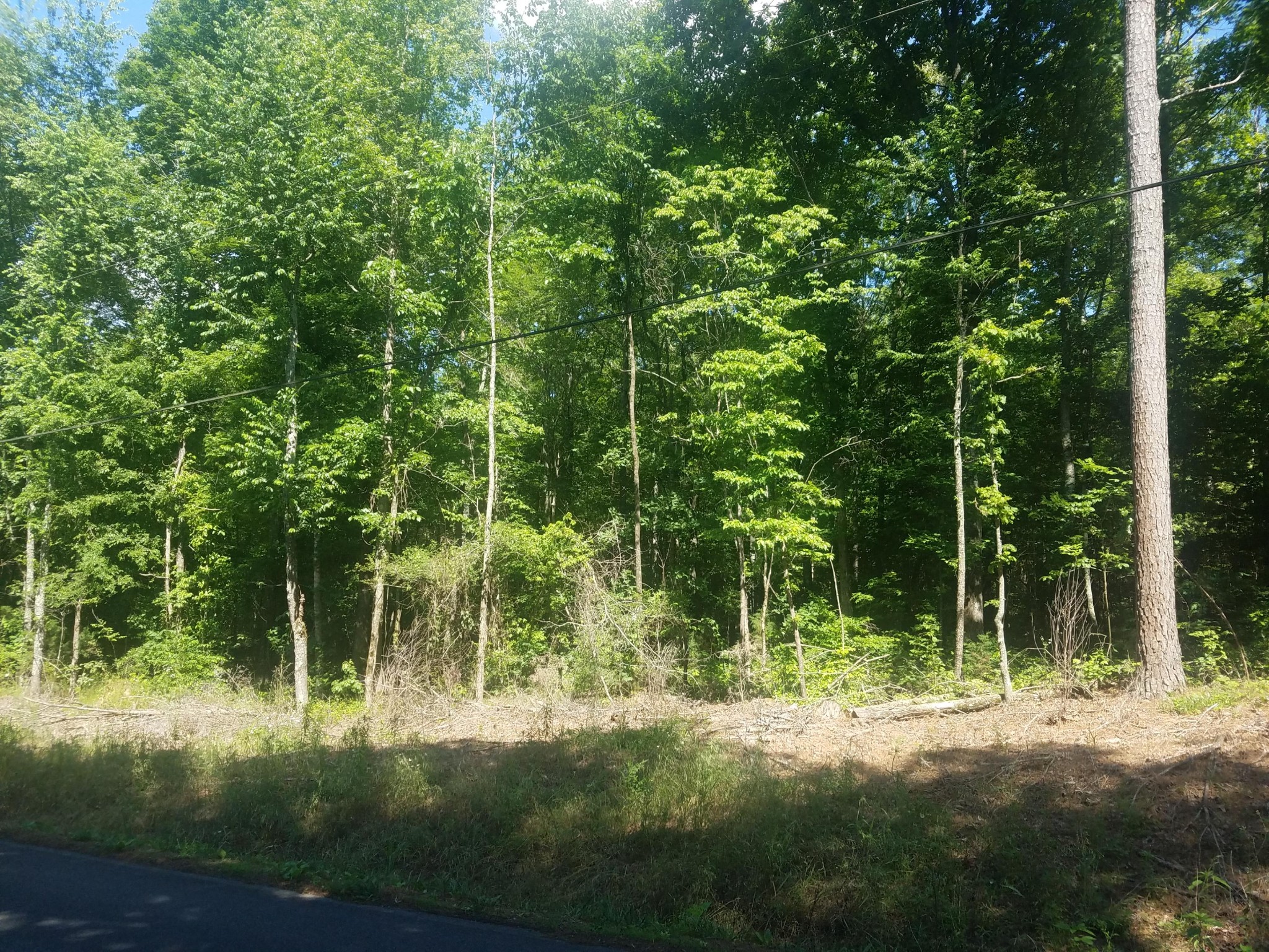 7 White Oak Valley Road Cleveland, TN 37312 - Photo 2 of 4 Gallery Image 2