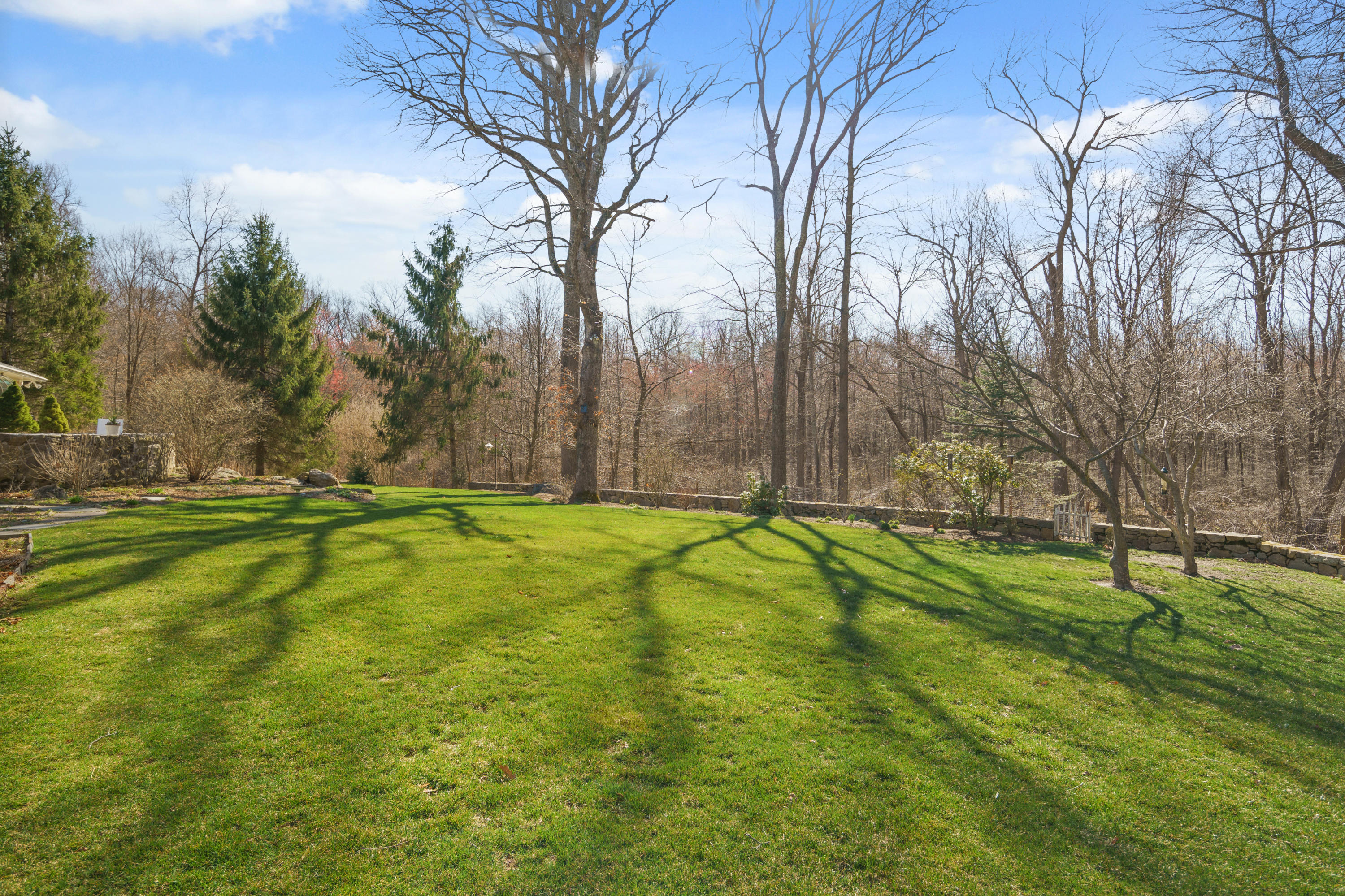 102 Ludlowe Road New Canaan, CT 06840 - Photo 41 of 42 a view of yard with swimming pool and green space