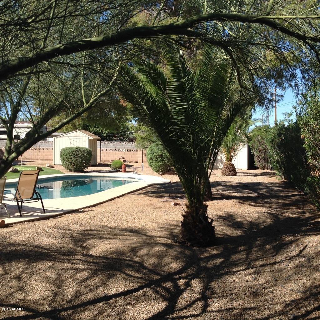 3028 East Bloomfield Road Phoenix, AZ 85032 - Photo 9 of 60 a view of a street with a tree
