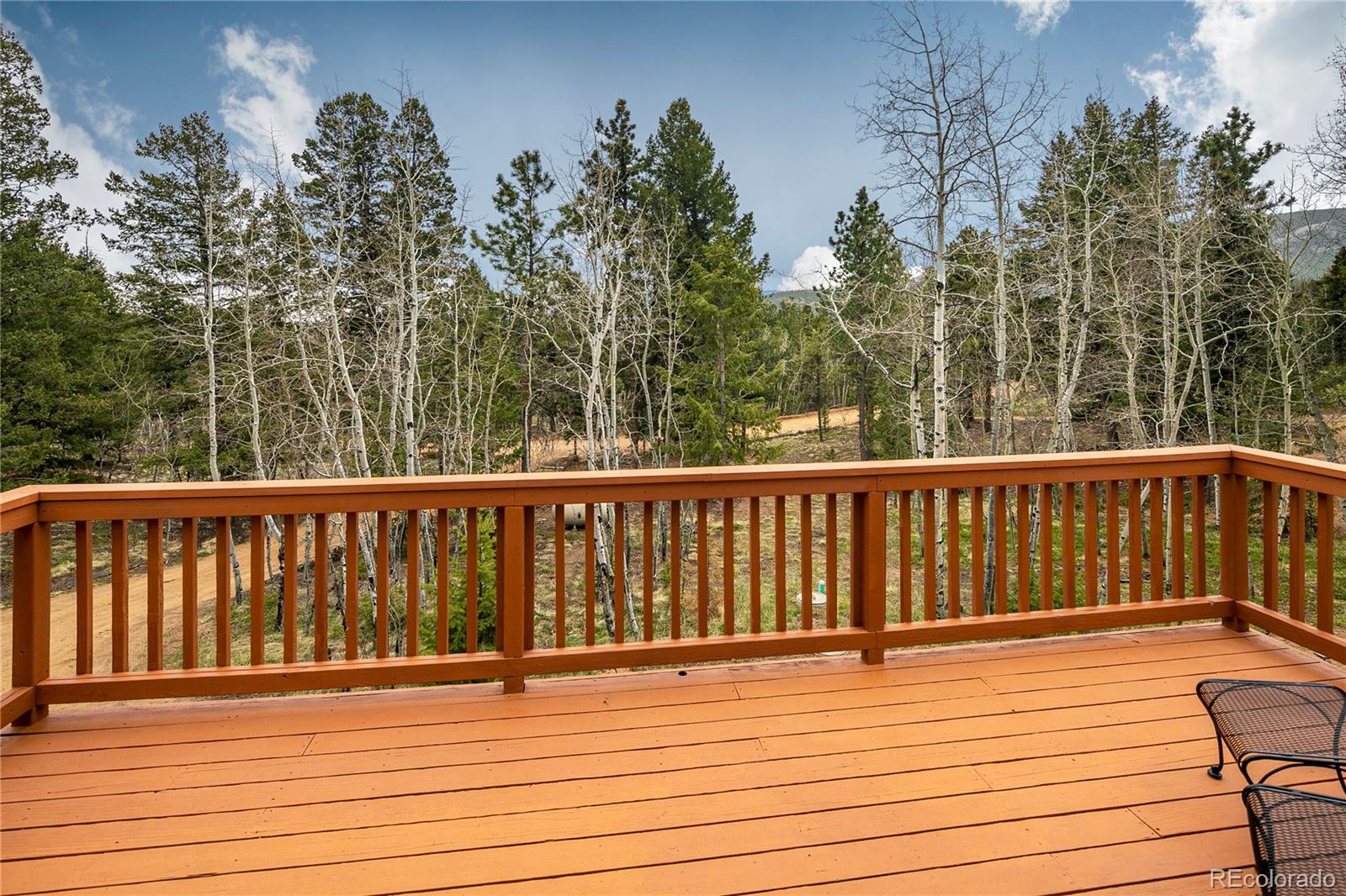 785 Old Sawmill Road Bailey, CO 80421 - Photo 15 of 38 Gallery Image 15