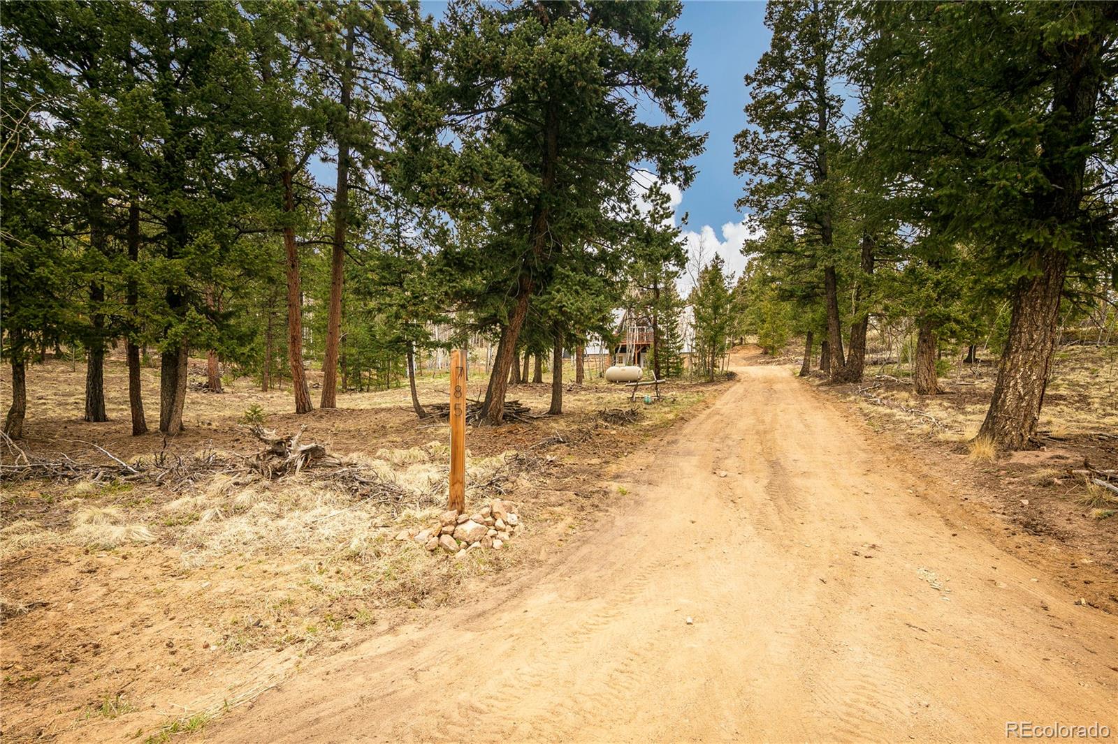 785 Old Sawmill Road Bailey, CO 80421 - Photo 38 of 38 Gallery Image 38