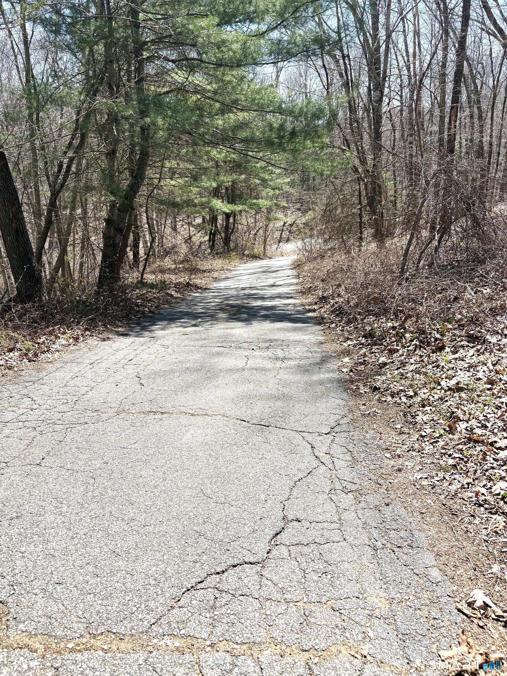 317 Old Jewett City Road Preston, CT 06365 - Photo 13 of 16