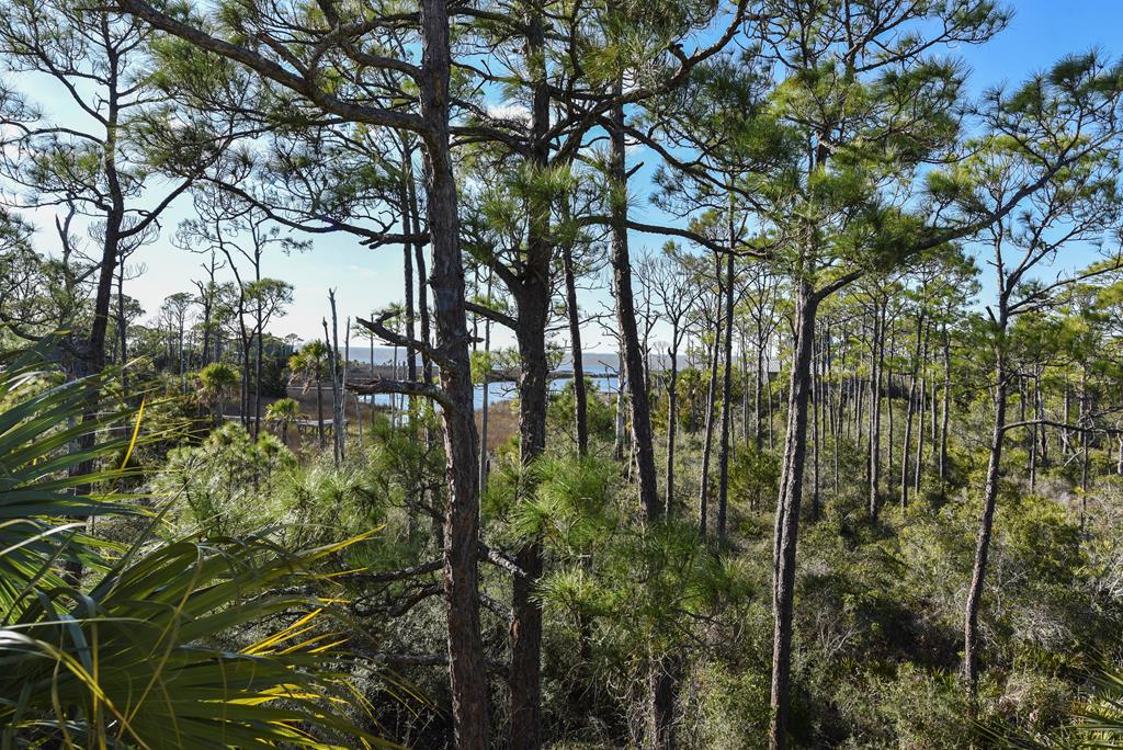 1943 Indian Harbor Road Eastpoint, FL 32328 - Photo 59 of 67