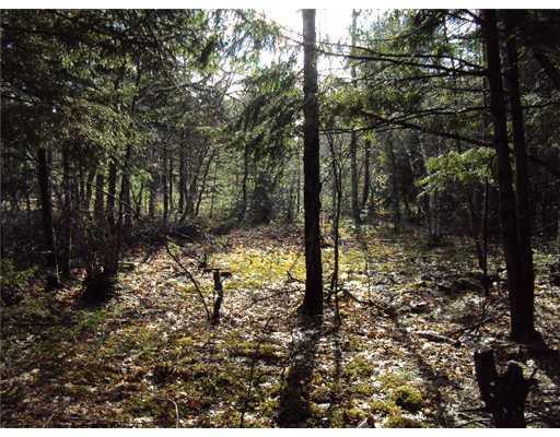 1150 Otis Road Otis, ME 04605 - Photo 11 of 25 Land.