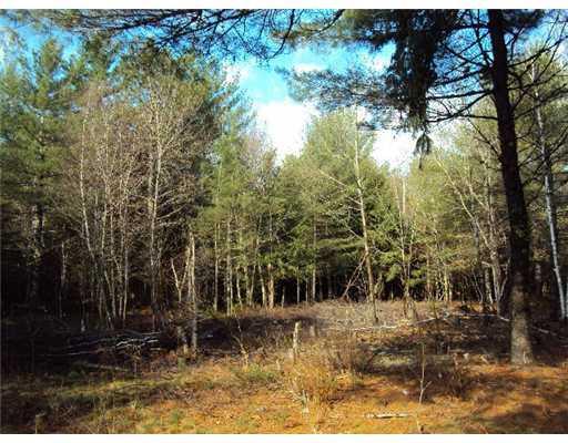 1150 Otis Road Otis, ME 04605 - Photo 12 of 25 Land.