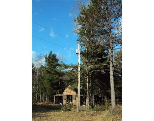 1150 Otis Road Otis, ME 04605 - Photo 13 of 25 Land.