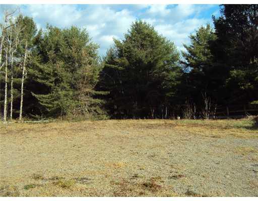 1150 Otis Road Otis, ME 04605 - Photo 14 of 25 Land.