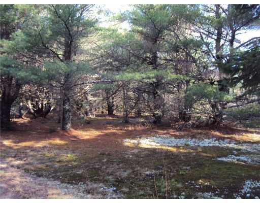 1150 Otis Road Otis, ME 04605 - Photo 15 of 25 Land.