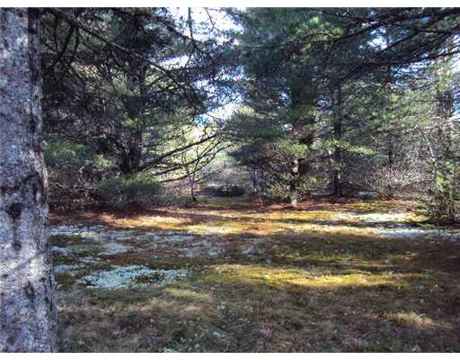 1150 Otis Road Otis, ME 04605 - Photo 16 of 25 Land.