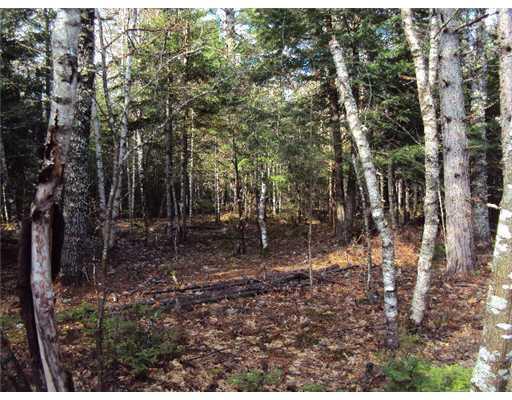 1150 Otis Road Otis, ME 04605 - Photo 18 of 25 Land.