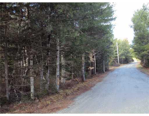 1150 Otis Road Otis, ME 04605 - Photo 19 of 25 Land.