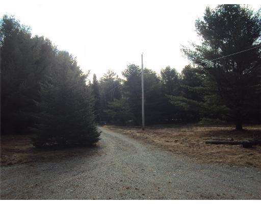 1150 Otis Road Otis, ME 04605 - Photo 20 of 25 Land.