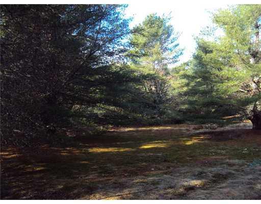 1150 Otis Road Otis, ME 04605 - Photo 23 of 25 Land.