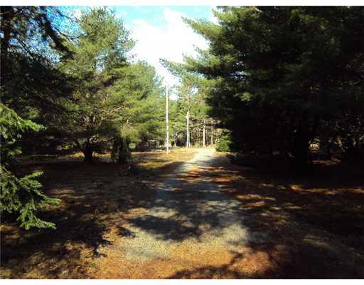 1150 Otis Road Otis, ME 04605 - Photo 4 of 25 Land.