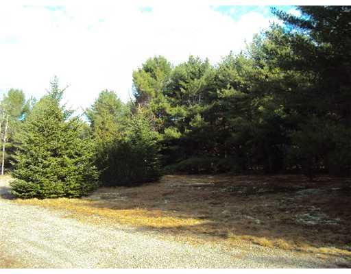 1150 Otis Road Otis, ME 04605 - Photo 6 of 25 Land.