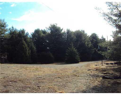 1150 Otis Road Otis, ME 04605 - Photo 7 of 25 Land.