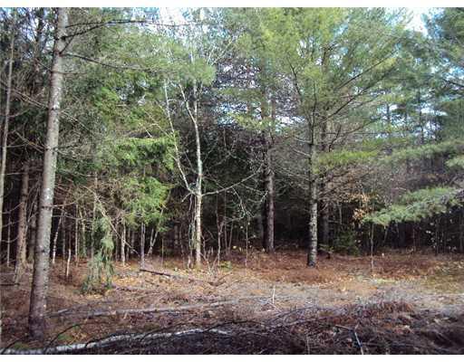 1150 Otis Road Otis, ME 04605 - Photo 9 of 25 Land.