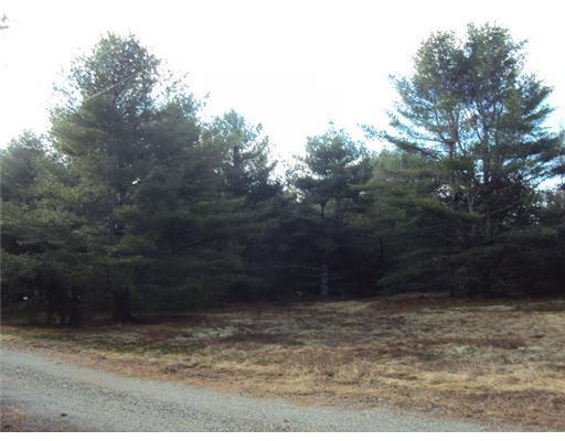 1150 Otis Road Otis, ME 04605 - Photo 10 of 25 Land.