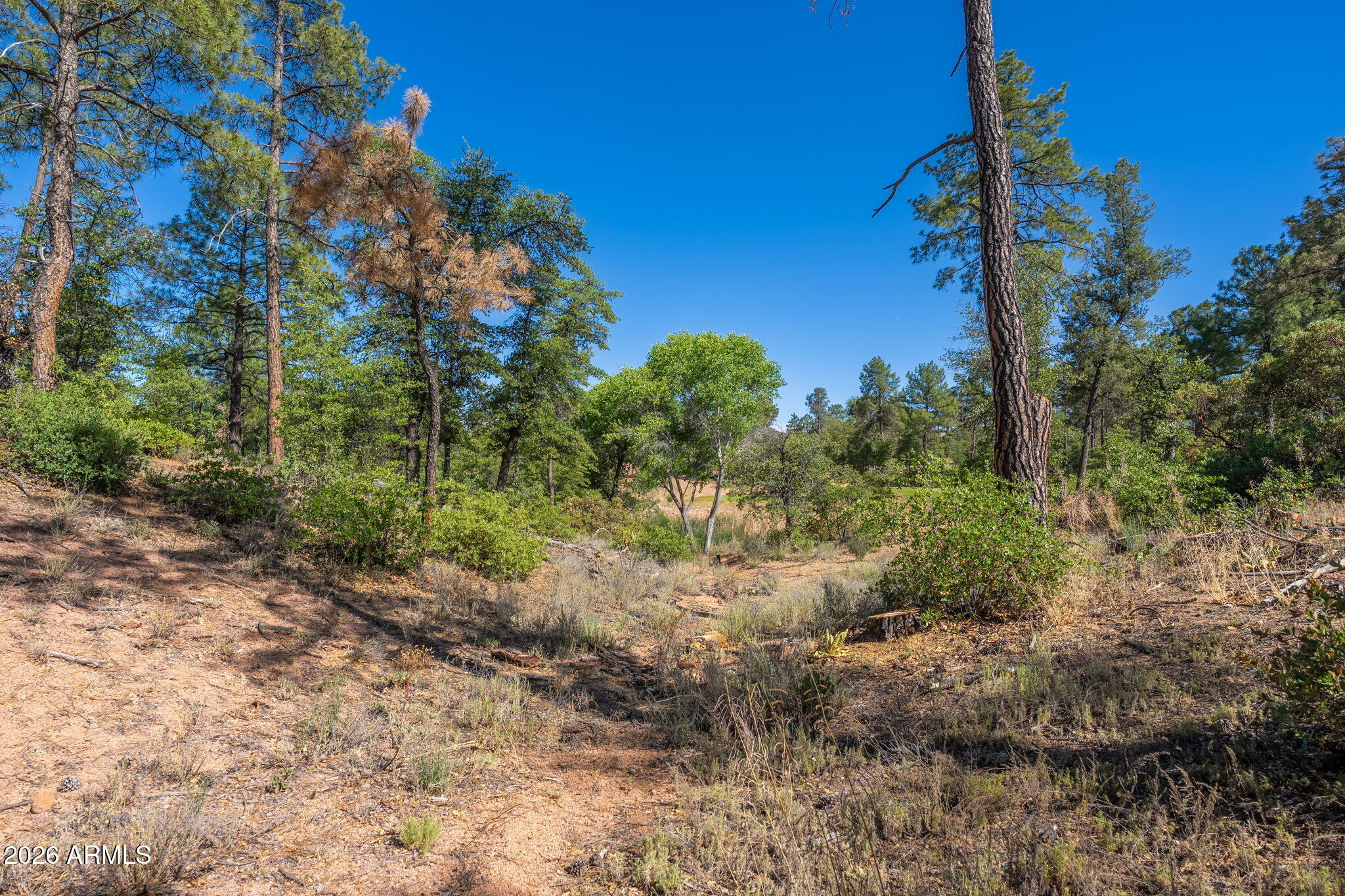 506 South Primeval, Unit 79 Payson, AZ 85541 - Photo 46 of 48 506 S Primeval - 44