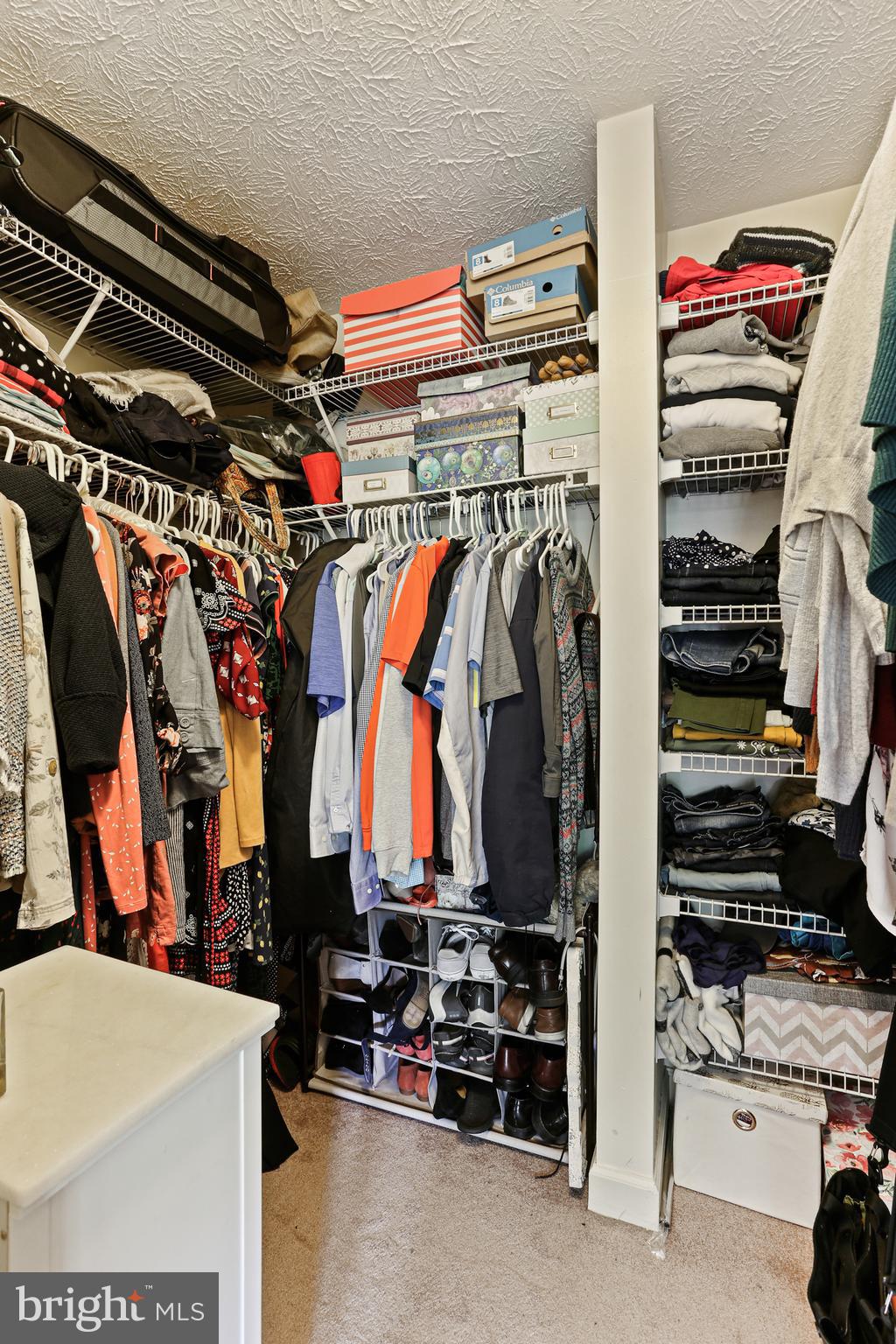 6512 Springwater Court, Unit 4302 Frederick, MD 21701 - Photo 15 of 31 Primary Walk-In Closet