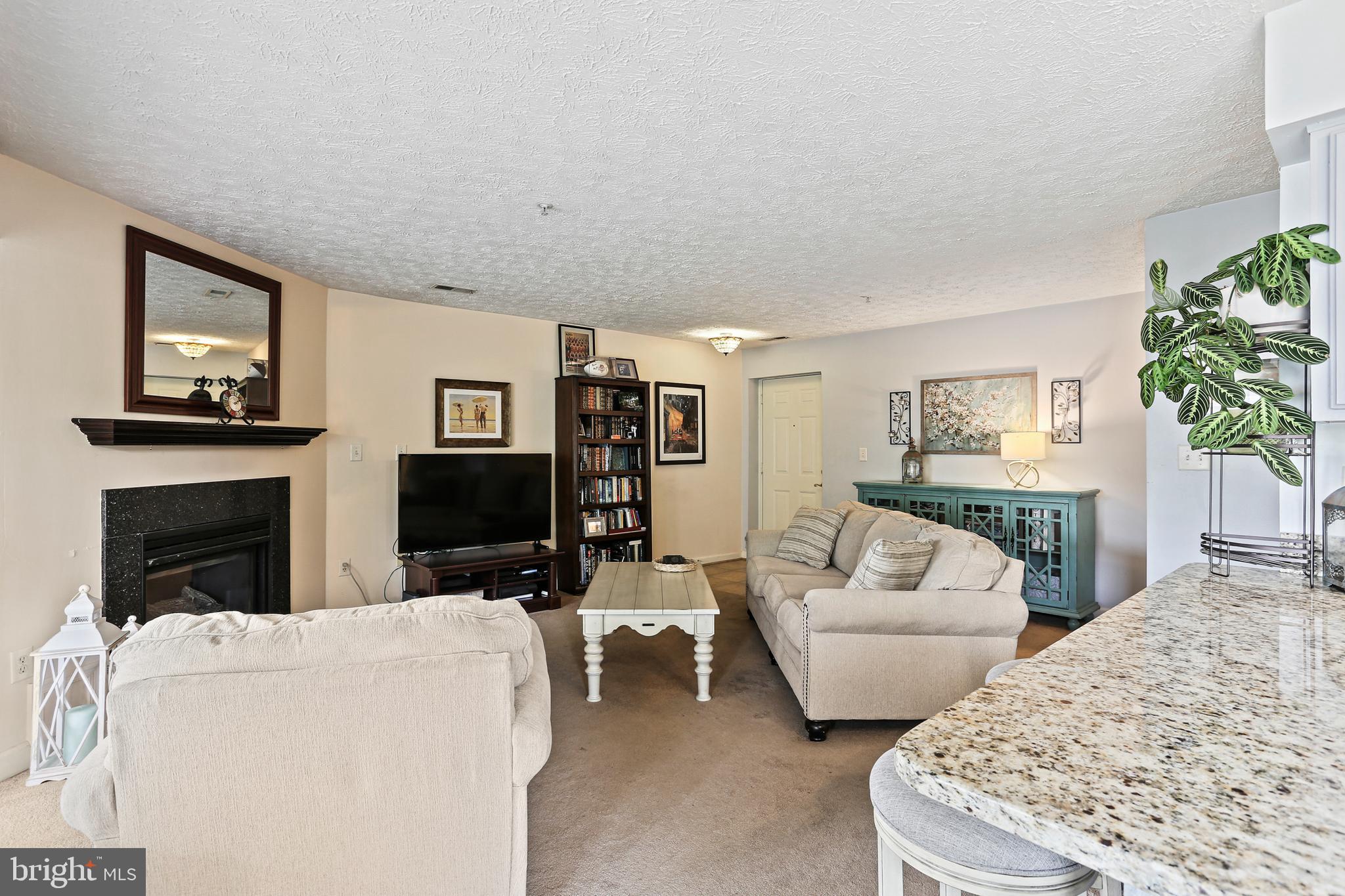 6512 Springwater Court, Unit 4302 Frederick, MD 21701 - Photo 2 of 31 Family Room with fireplace