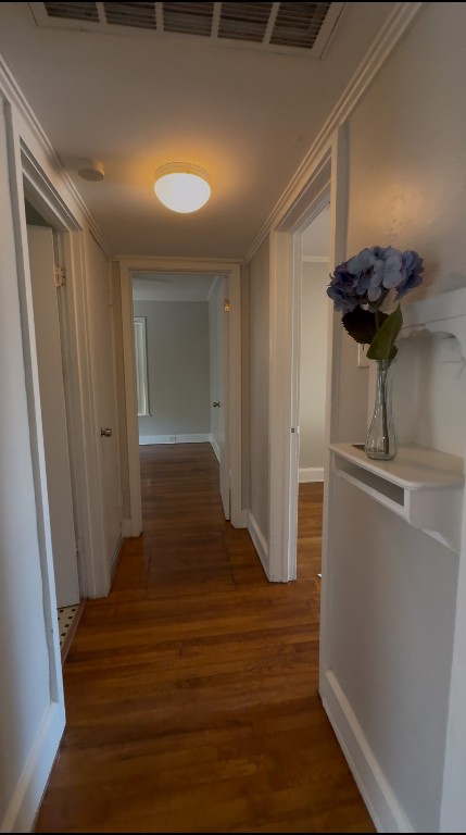 1 East 53rd Street Austin, TX 78751 - Photo 10 of 13 Hall featuring ornamental molding and dark wood finished floors