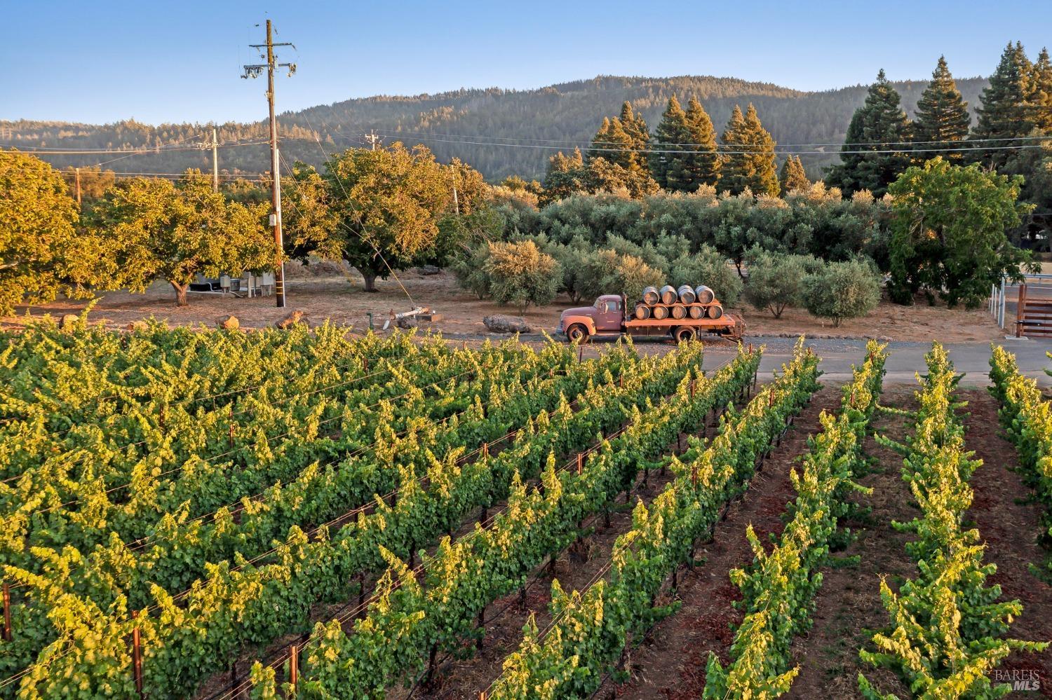 125 Cristo Lane Santa Rosa, CA 95409 - Photo 77 of 82 a view of outdoor space and city view
