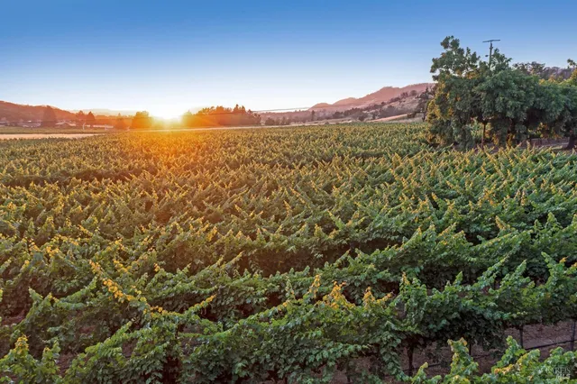 $6,999,000 | 125 Cristo Lane, Santa Rosa, CA 95409