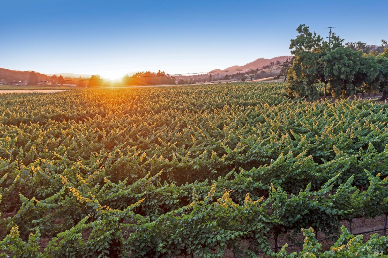 125 Cristo Lane Santa Rosa, CA 95409 - Photo 79 of 82