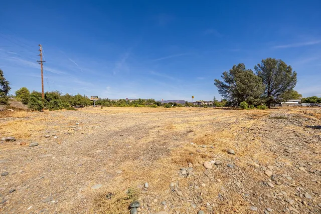 a view of a city with tall trees
