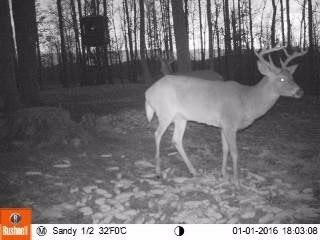 100 Big Sandy Road Mount Vernon, KY 40456 - Photo 33 of 34 Photo 33