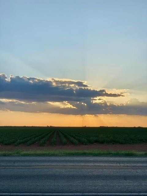 3967 South Fm 168 Ropesville, TX 79358 - Photo 44 of 44 Photo 45