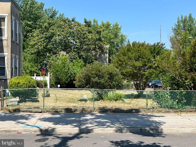 a view of a street with a large tree