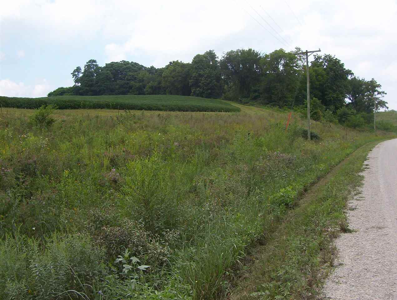 Palisades Access Road Ely, IA 52227 - Photo 1 of 5 Gallery Image 1