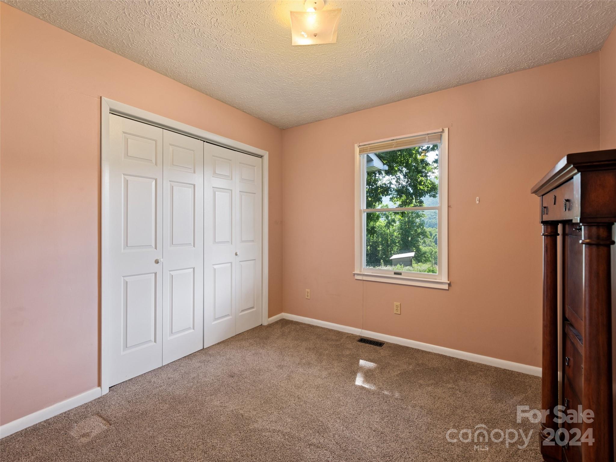 191 Sunset Heights Canton, NC 28716 - Photo 29 of 36