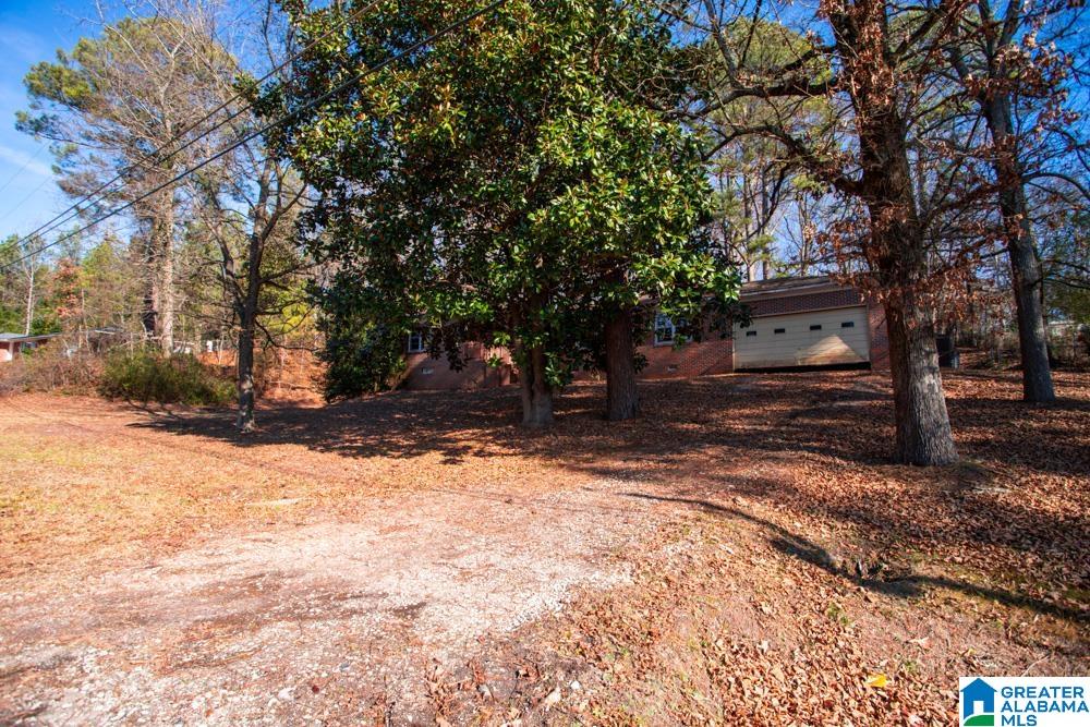1850 Pelham Road South Jacksonville, AL 36265 - Photo 24 of 24