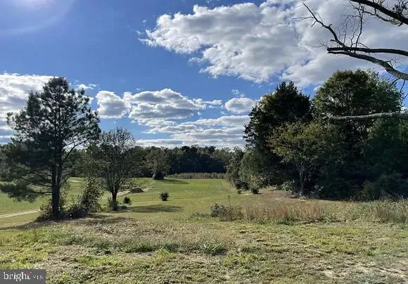 a view of a yard with large trees