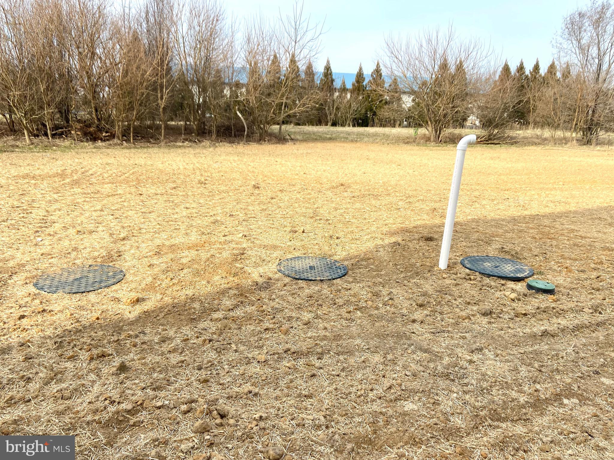 303 West Belle Street Ridgely, MD 21660 - Photo 34 of 42 NEW SEPTIC 2022