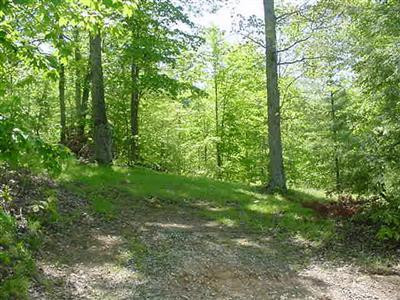 1 Lookout Heights Road Wellington, KY 40387 - Photo 2 of 4 Photo 2