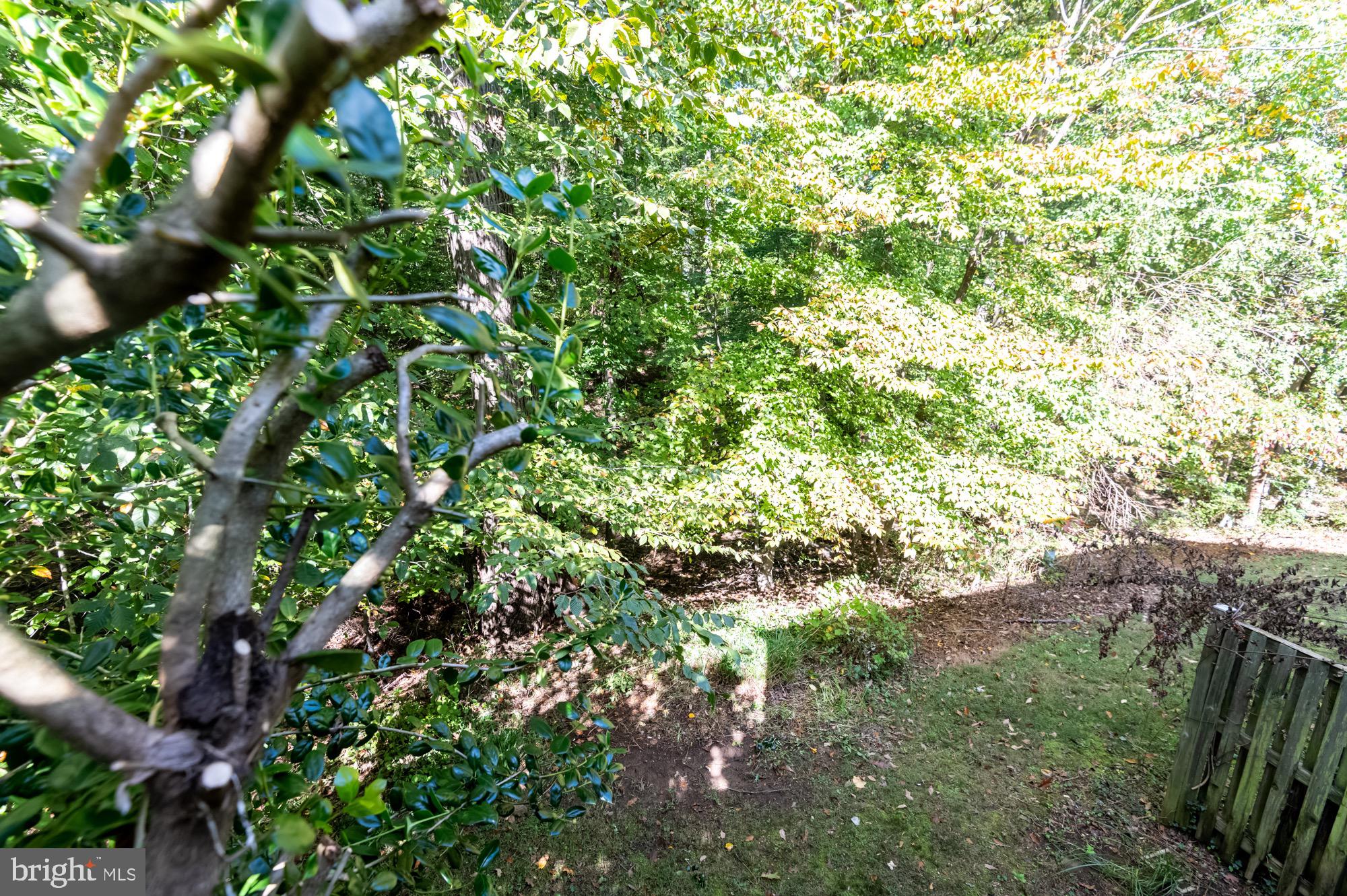 15815 Haynes Road Laurel, MD 20707 - Photo 25 of 30 Gallery Image 25