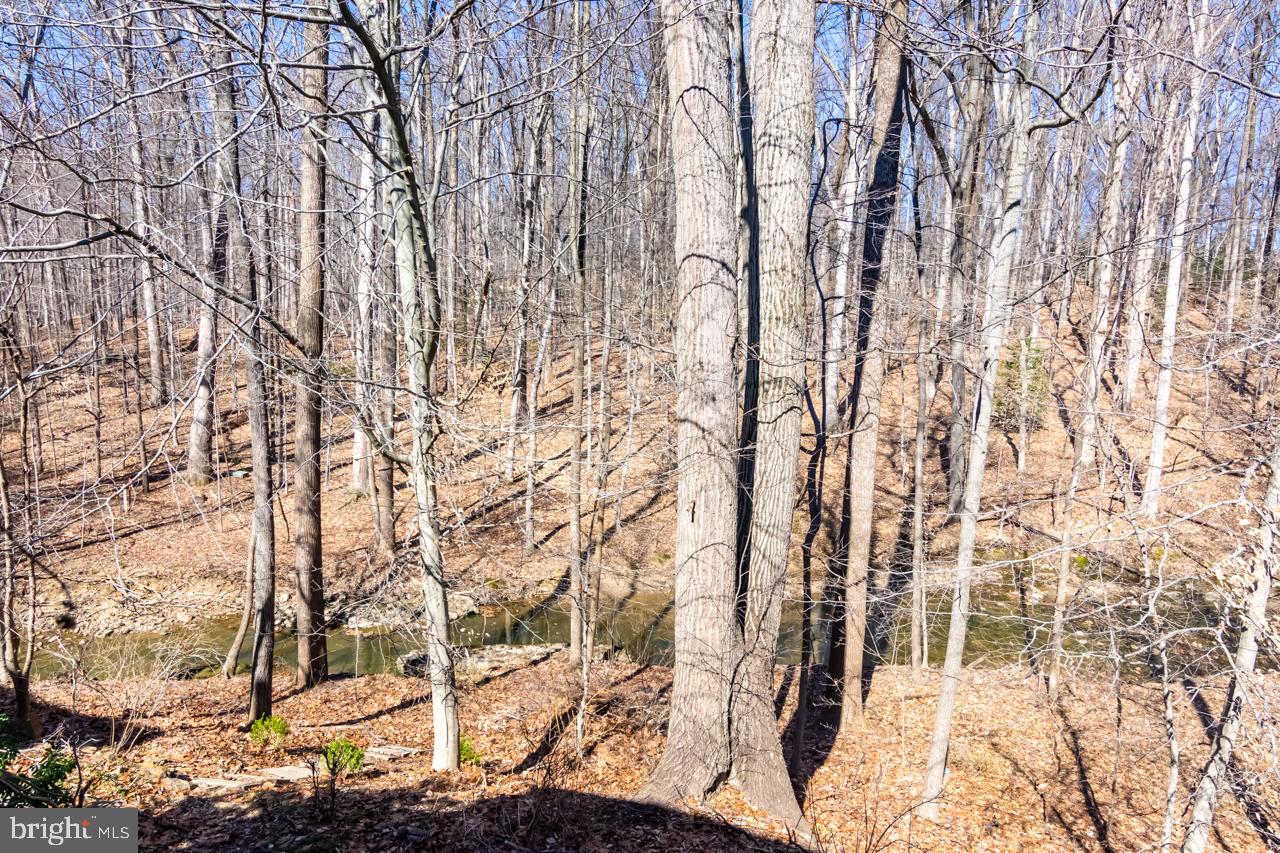 15815 Haynes Road Laurel, MD 20707 - Photo 28 of 30 after the leaves fall....