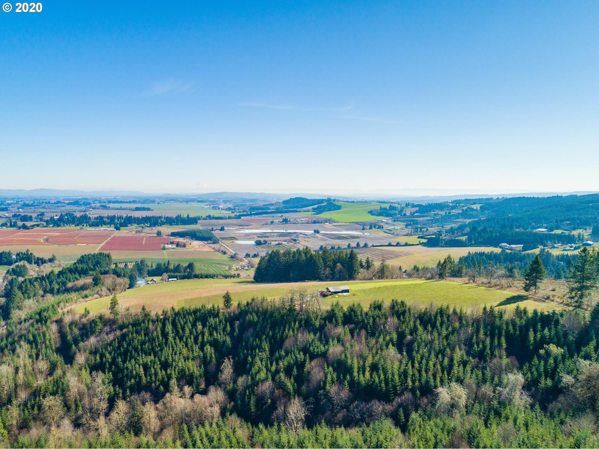 0 Southwest Hergert Road Cornelius, OR 97113 - Photo 4 of 4