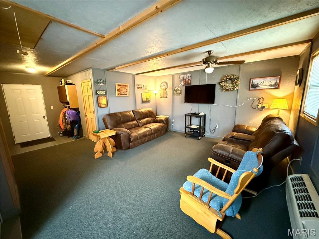 41961 Pleasant Cove Place Perry, MO 63462 - Photo 9 of 22