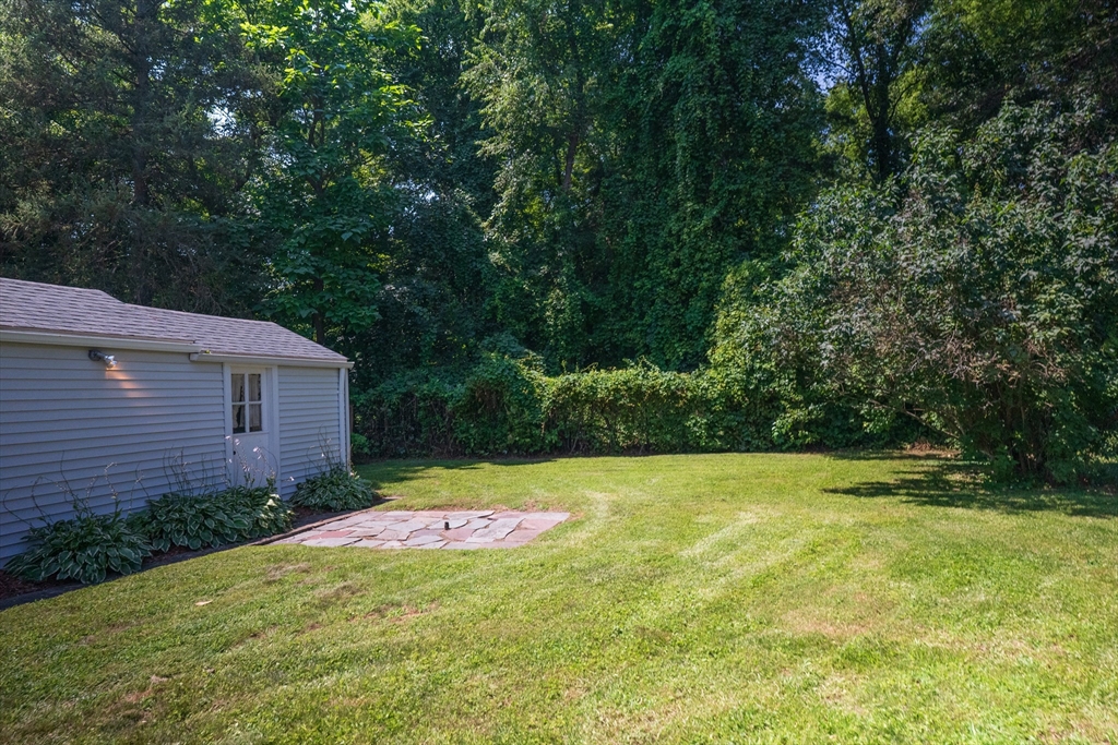58 Gilman Street Springfield, MA 01118 - Photo 18 of 18 a backyard of a house with plants and large trees