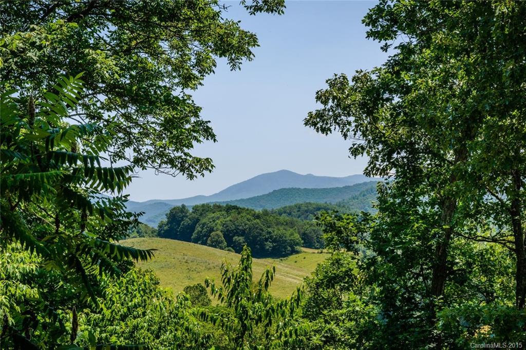 358 Blackberry Ridge Road Burnsville, NC 28714 - Photo 4 of 24 Gallery Image 4