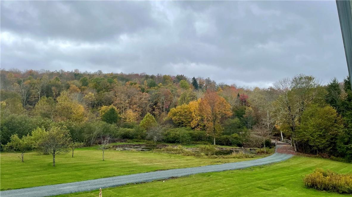 141 Bonnie Brook Road Roscoe, NY 12776 - Photo 17 of 48